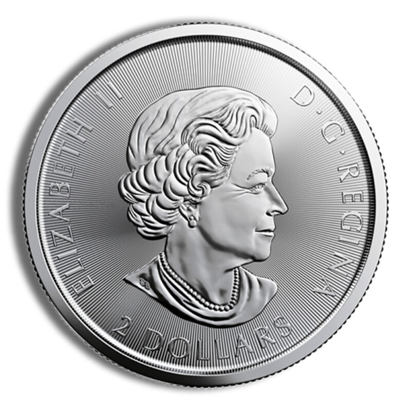 1/2 oz Canadian Red Tail Hawk Silver Coin (Year Varies) - Image 2