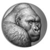 2021 2 oz Cameroon Silver Mountain Gorilla