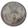 1996 Silver American Eagle - Impaired - Image 2