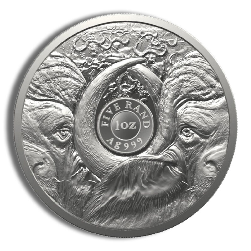 2023 1 oz Silver South African Big 5 Buffalo Coin - Series II - Image 2