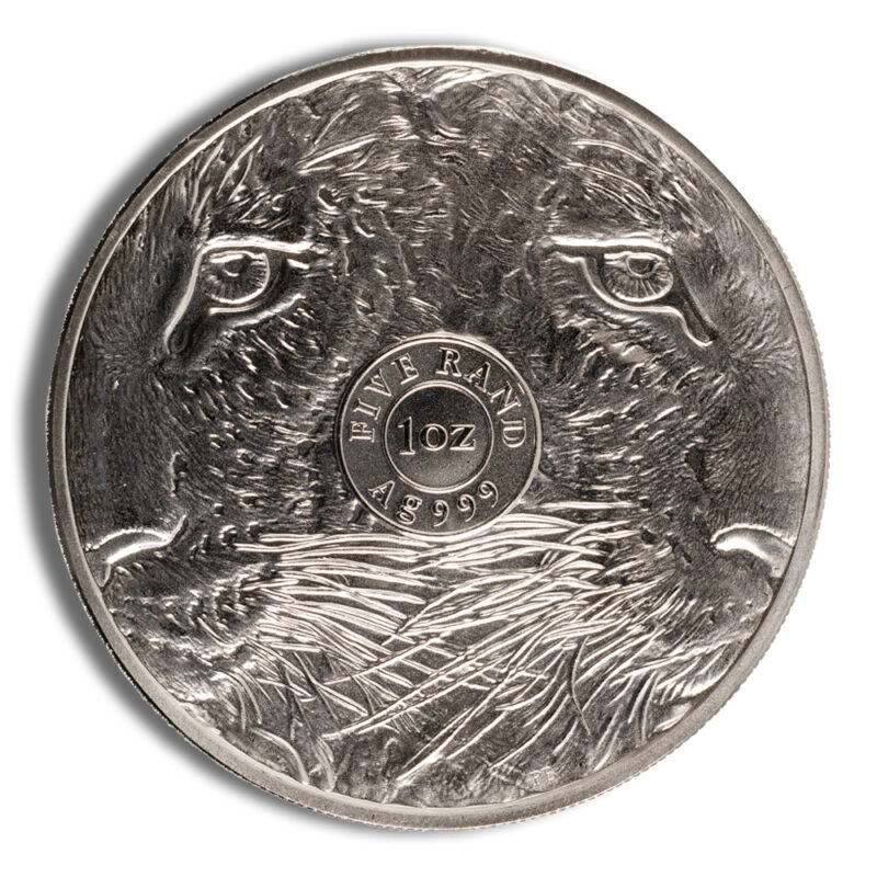 2023 1 oz Silver South African Big 5 Leopard Coin - Image 2